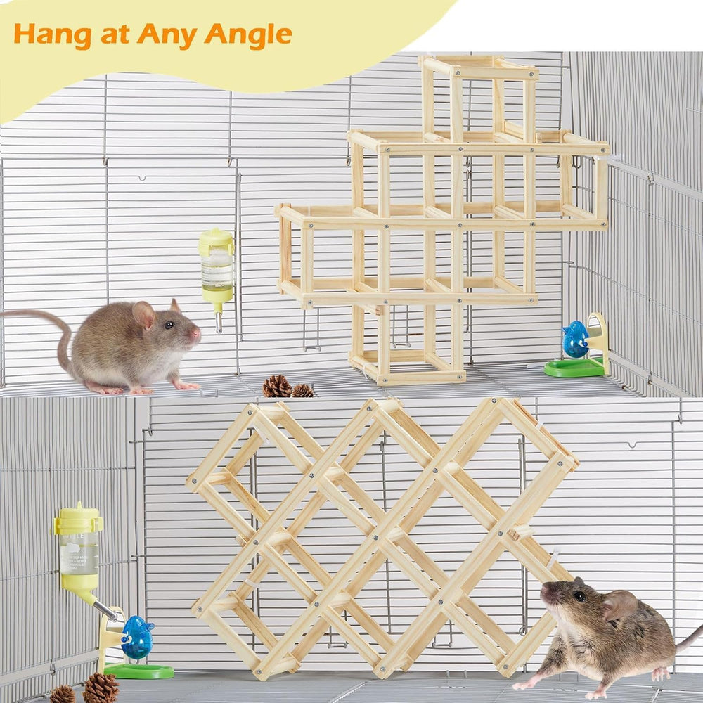 Jevnd rat enrichment toy promotes exercise and playful interaction inside the enclosure.