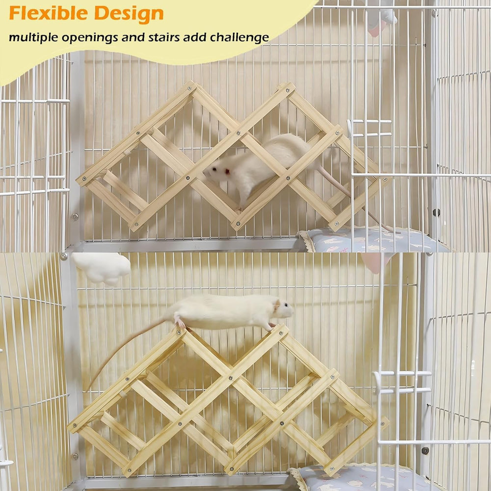 Jevnd rat playtime on wooden ladder showcases shared exploration for two or more.