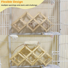 Jevnd rat playtime on wooden ladder showcases shared exploration for two or more.