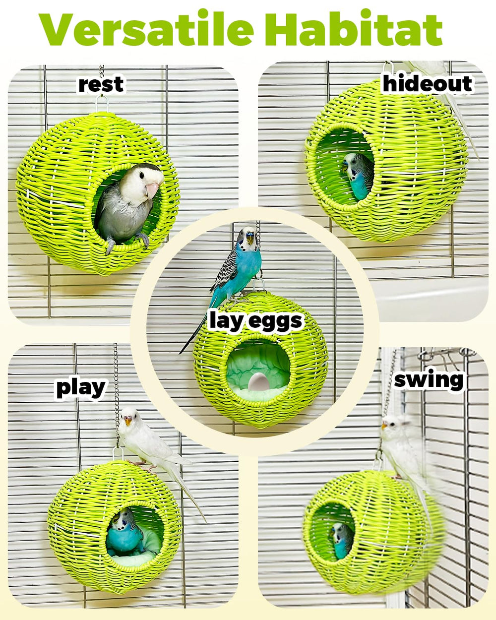 Jevnd spacious layout accommodates toys and bird interaction.