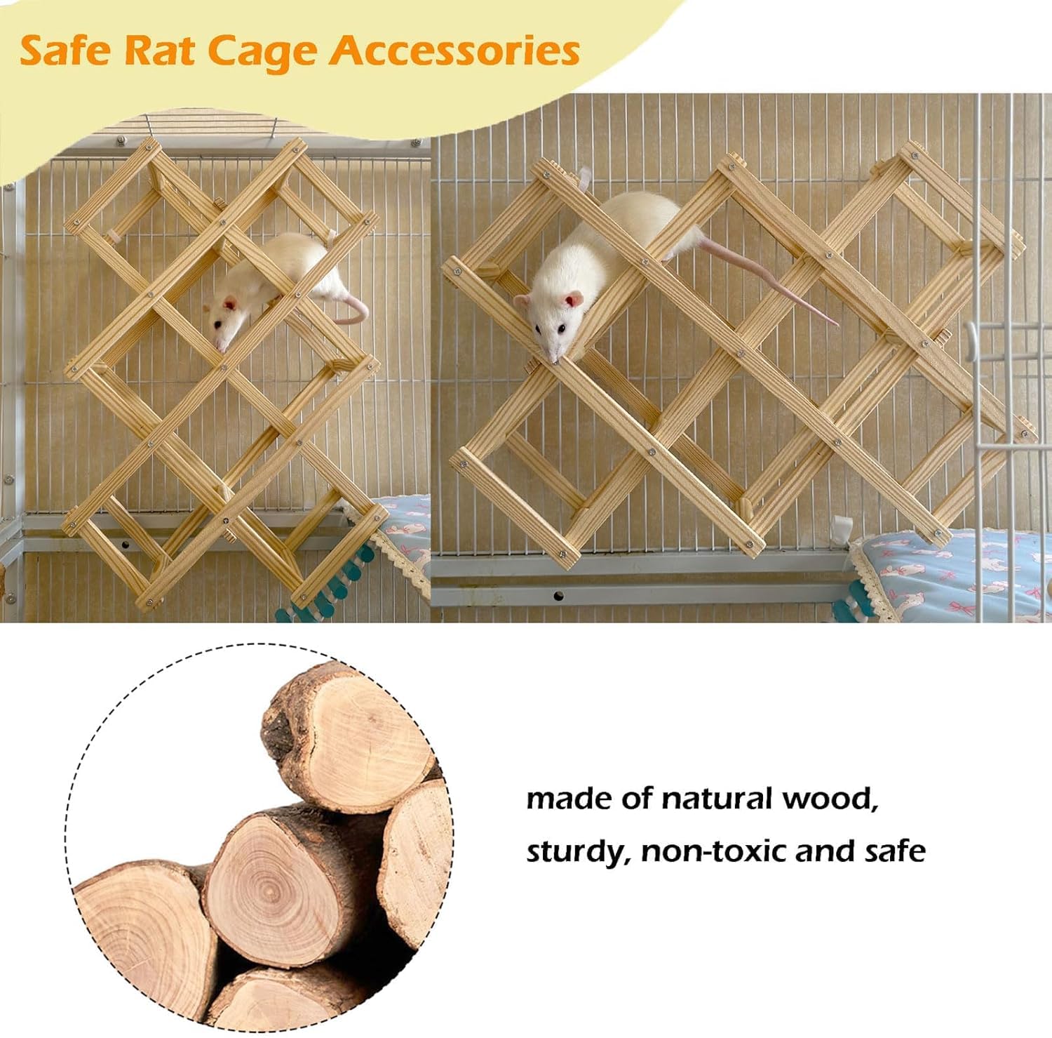 Jevnd wooden play platform 18x12x4.7in invites two rats to explore together.