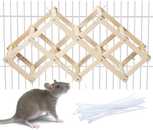 Jevnd wooden rat climbing toy in action, a compact enrichment for climbing and exploration.
