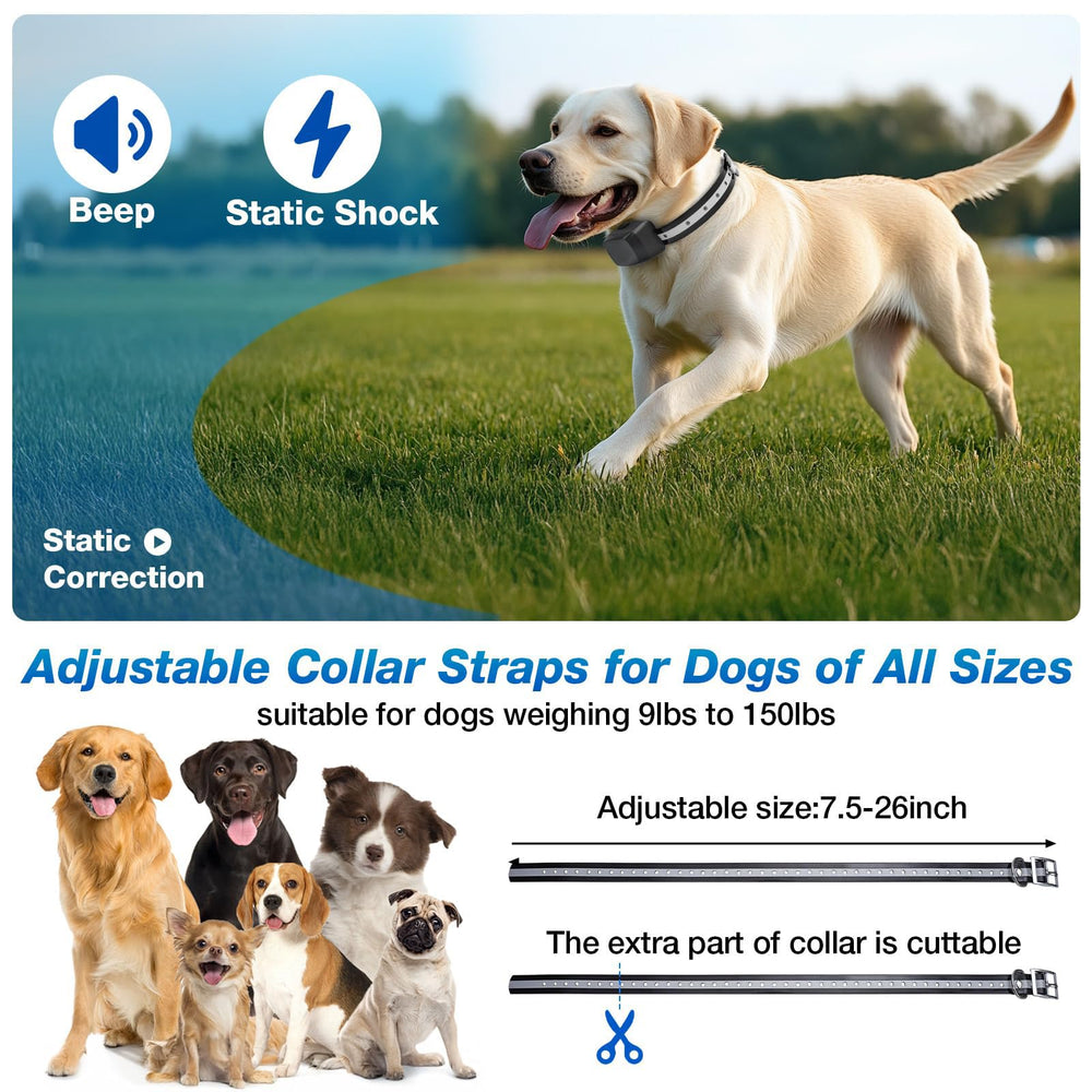 JewYow two-dog system visual with dual collars in use.