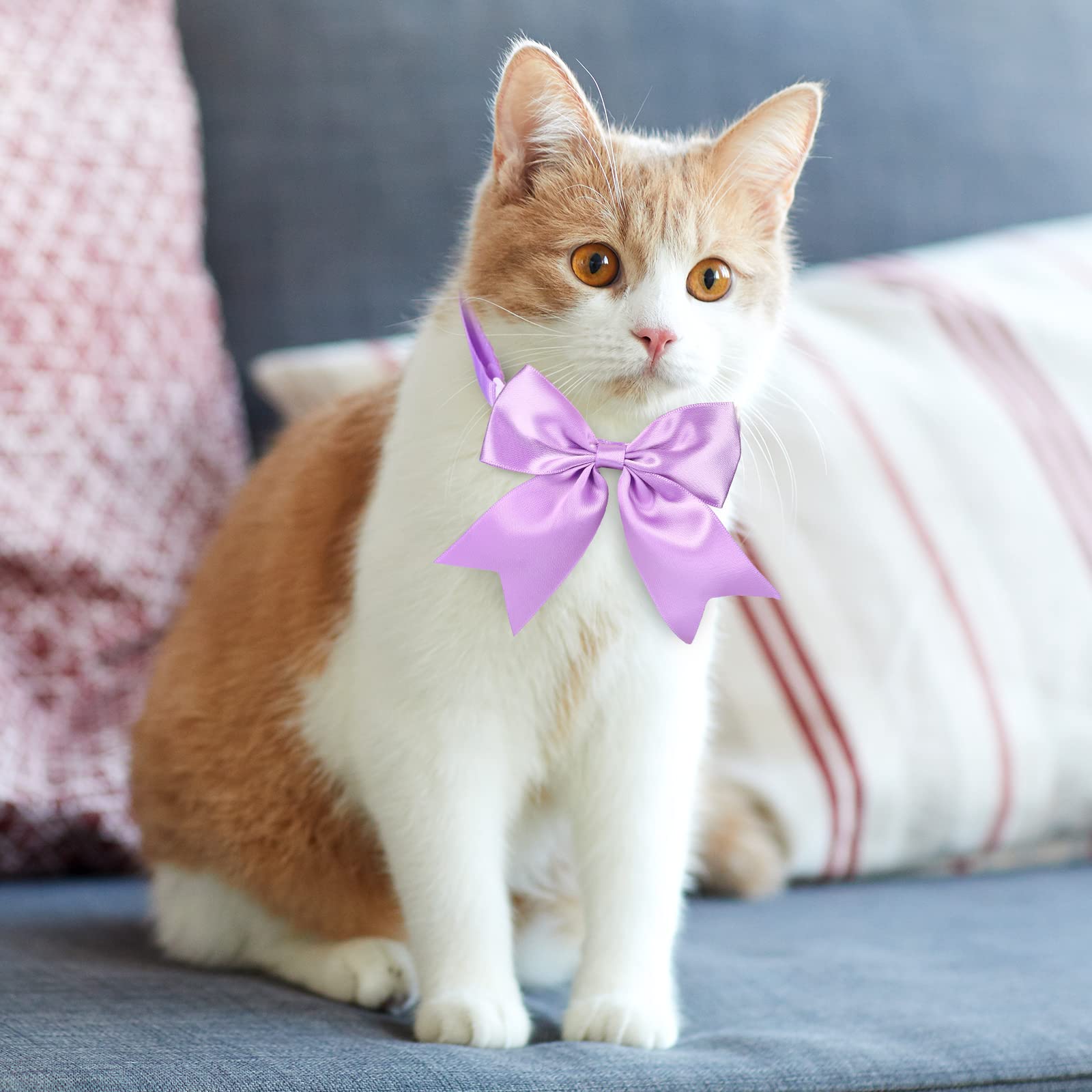 Jexine 60-piece pet bow tie pack offers quick mix-and-match looks.