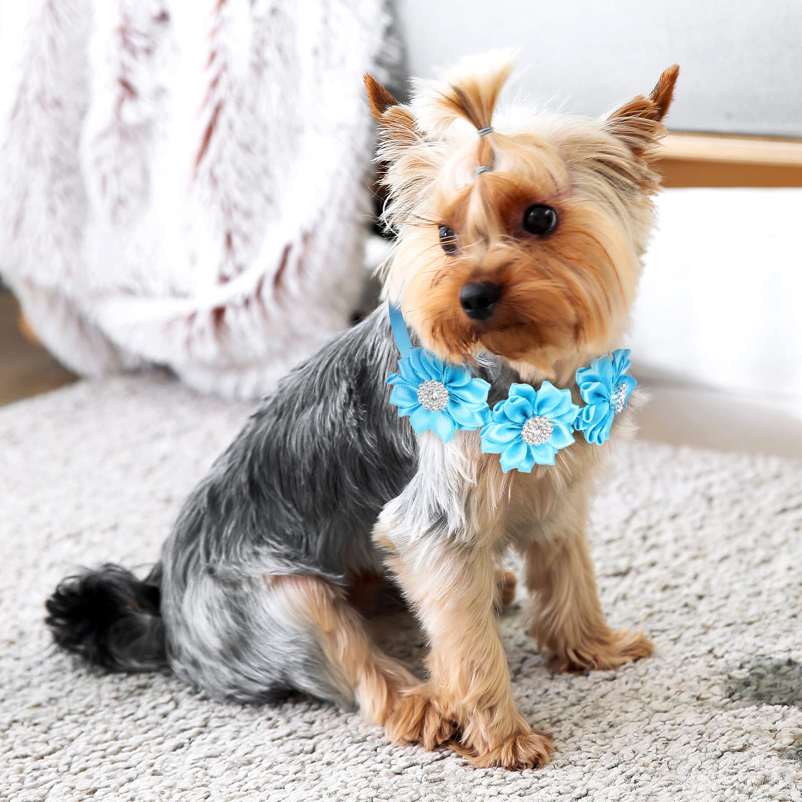 Jexine dog and cat bow ties for wedding and birthday celebrations.