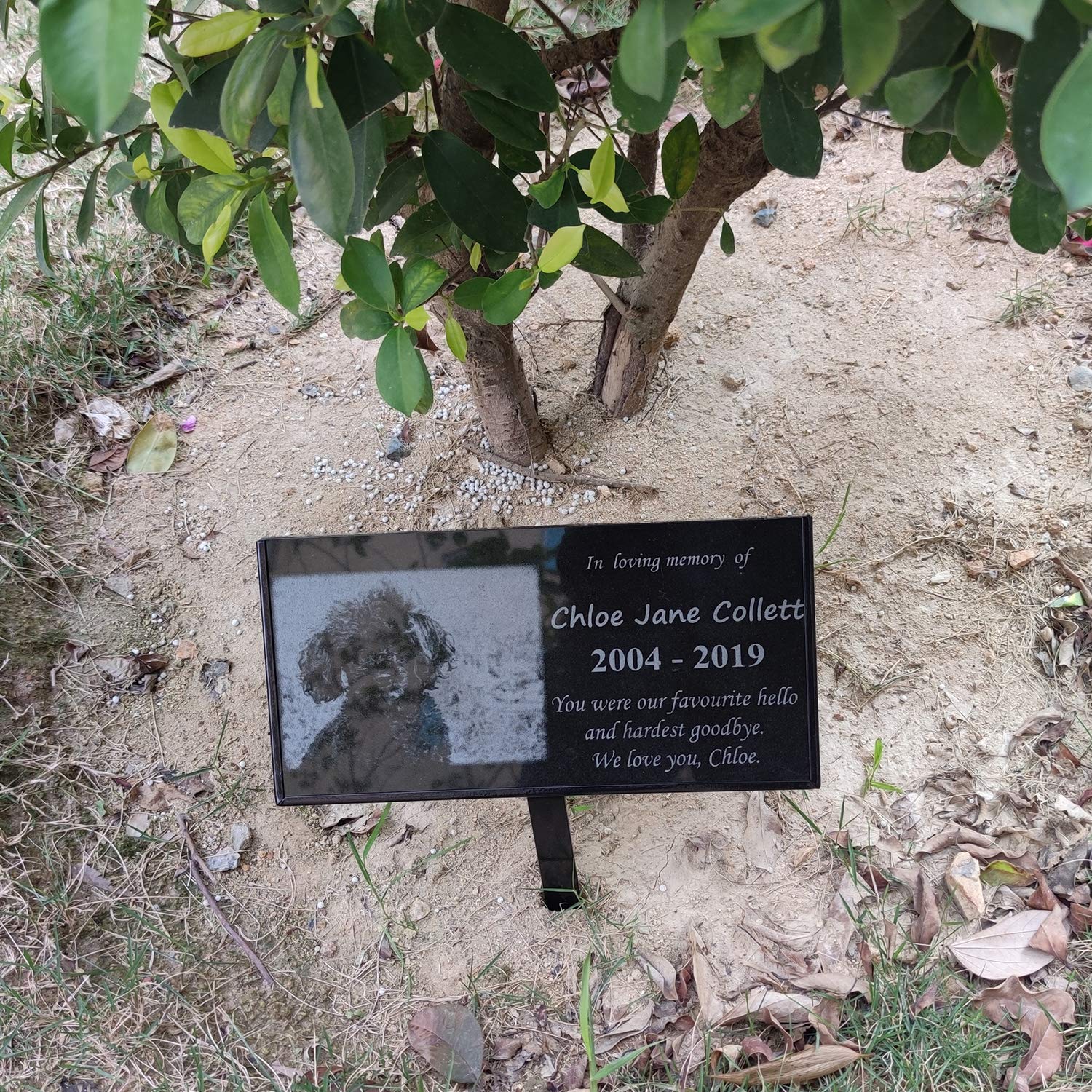 JFHEDY memorial stone on stand suitable for home or graveside.