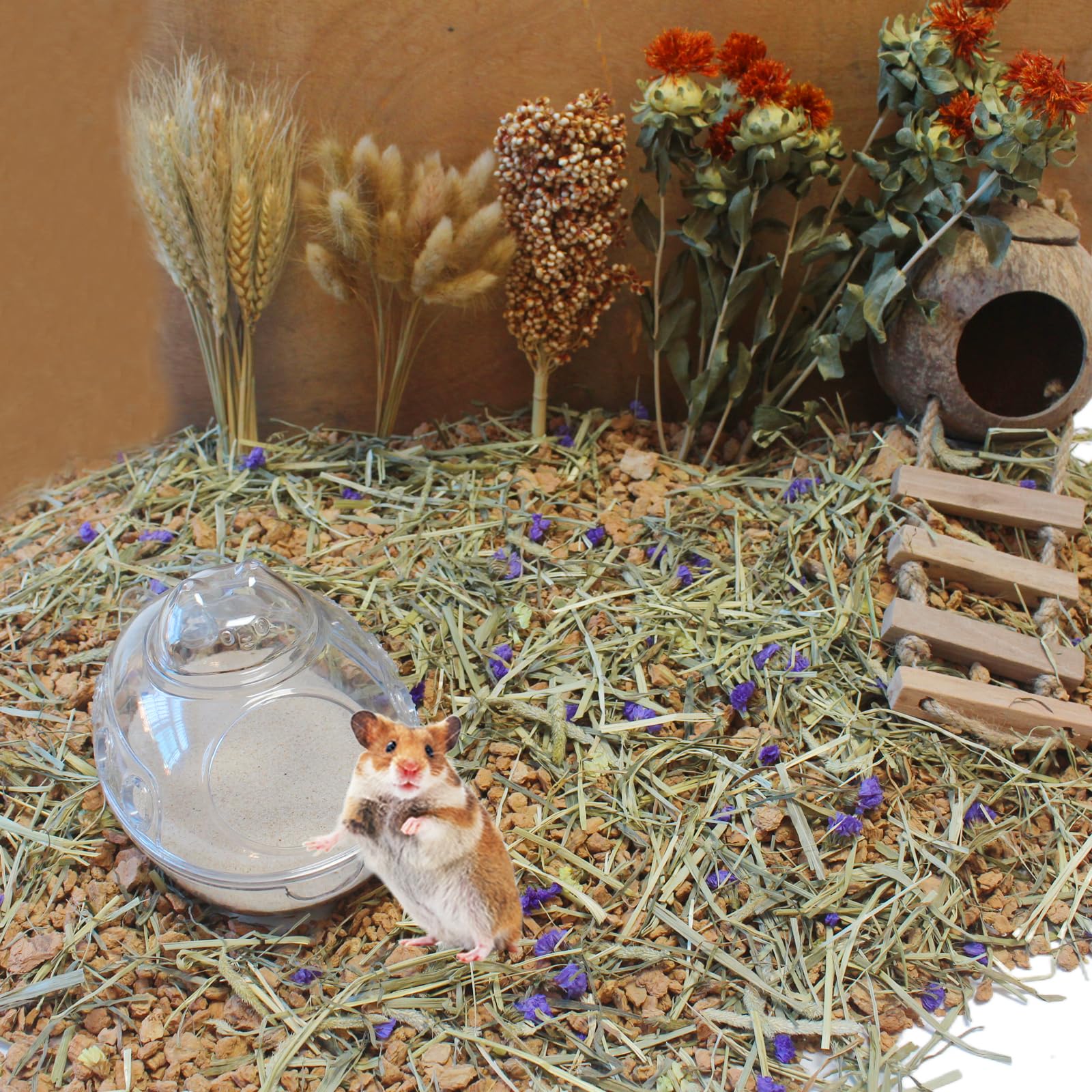 JFWOD compatible for hamsters, gerbils, chinchillas and other small pets.