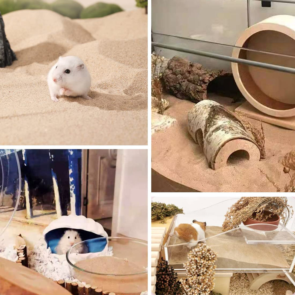 JFWOD hamster enjoying a sand bath, relaxed and clean fur.