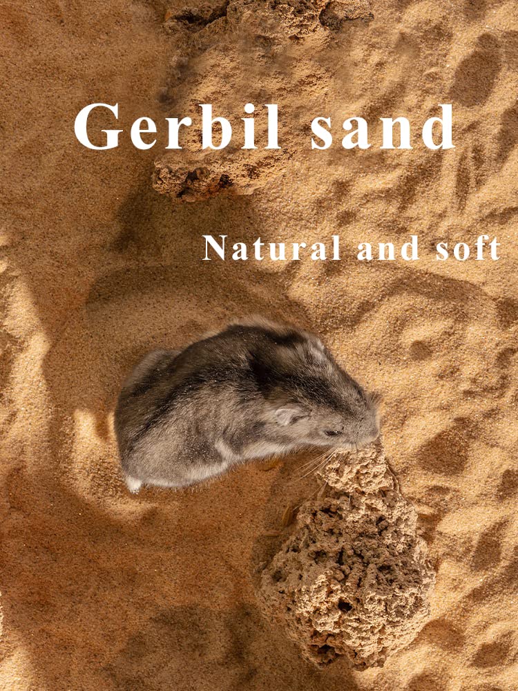 JFWOD sand is multi-level screened for uniform dryness and texture.