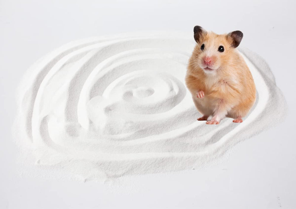 JFWOD small-pets relaxing in soft bath sand supports gentle enrichment.