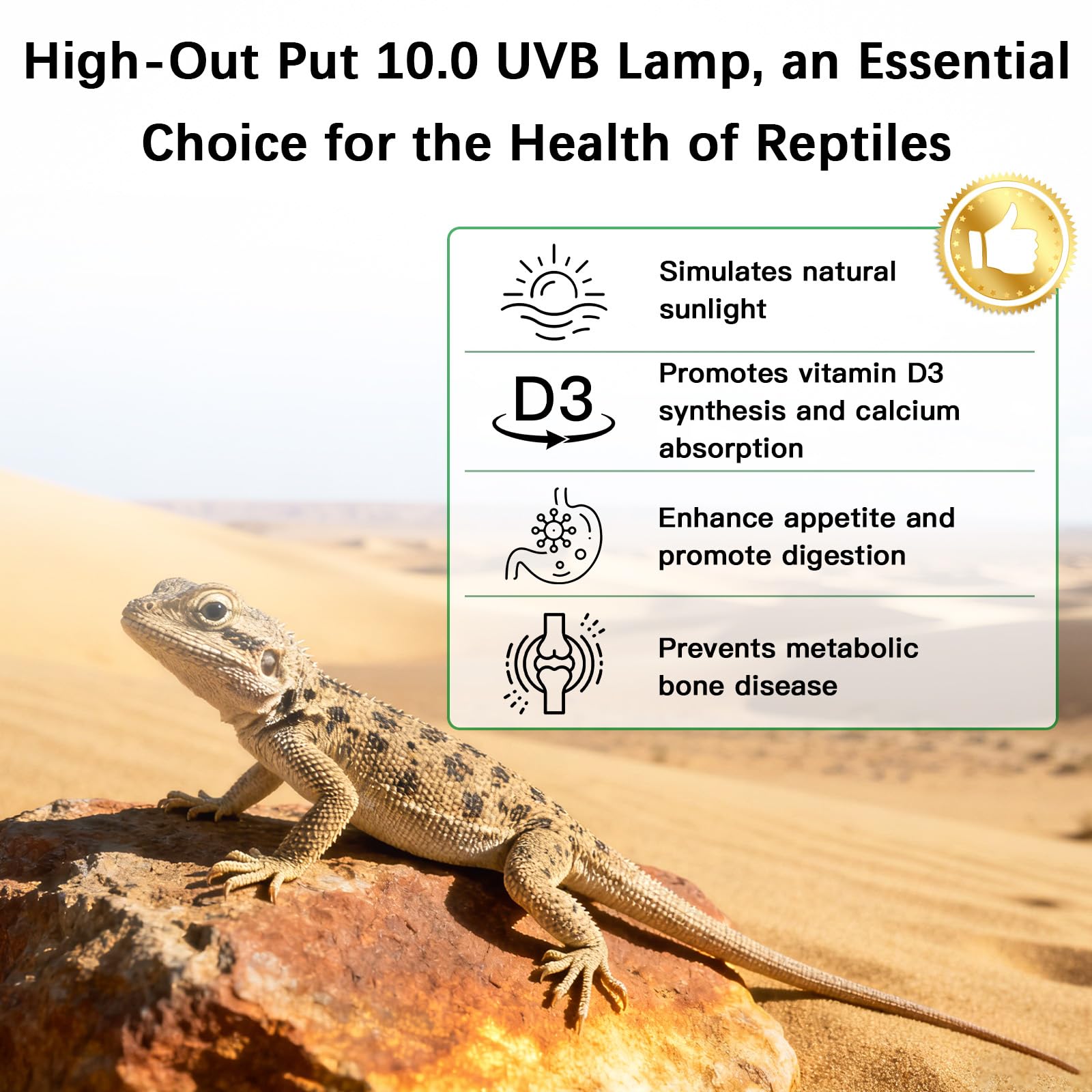 JHGKEGKE complete T5 reptile kit for an all-in-one terrarium lighting setup.