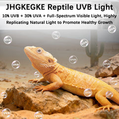 JHGKEGKE upgraded wide alloy reflector enhances UVA/UVB output for natural behavior.
