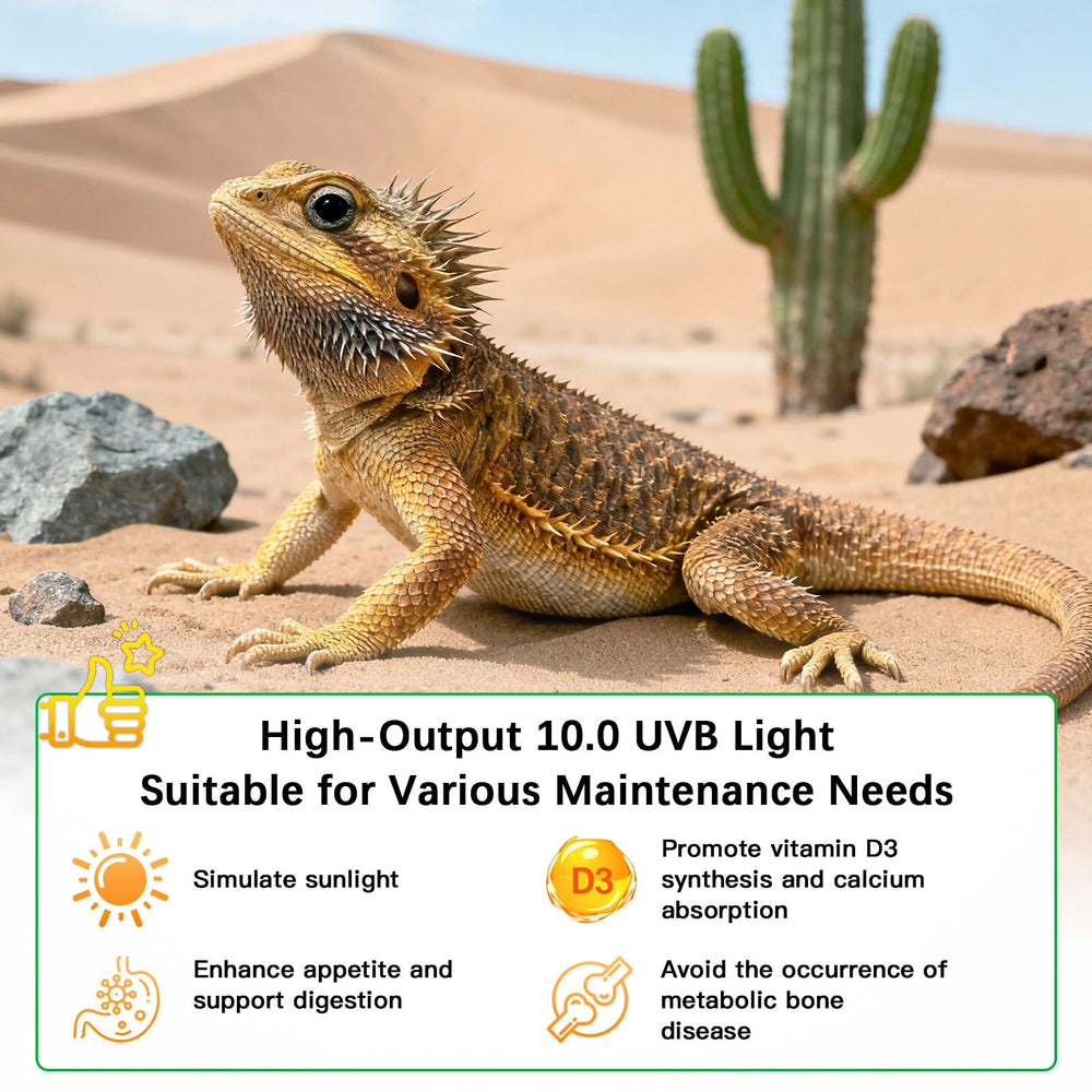 JHGKEGKE UVB 15W 18 inch bulb installed in terrarium
