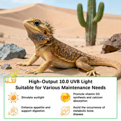 JHGKEGKE UVB 15W 18 inch bulb installed in terrarium