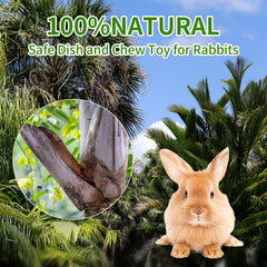 Jiaxix bowls with hay and pellets for easy serving.