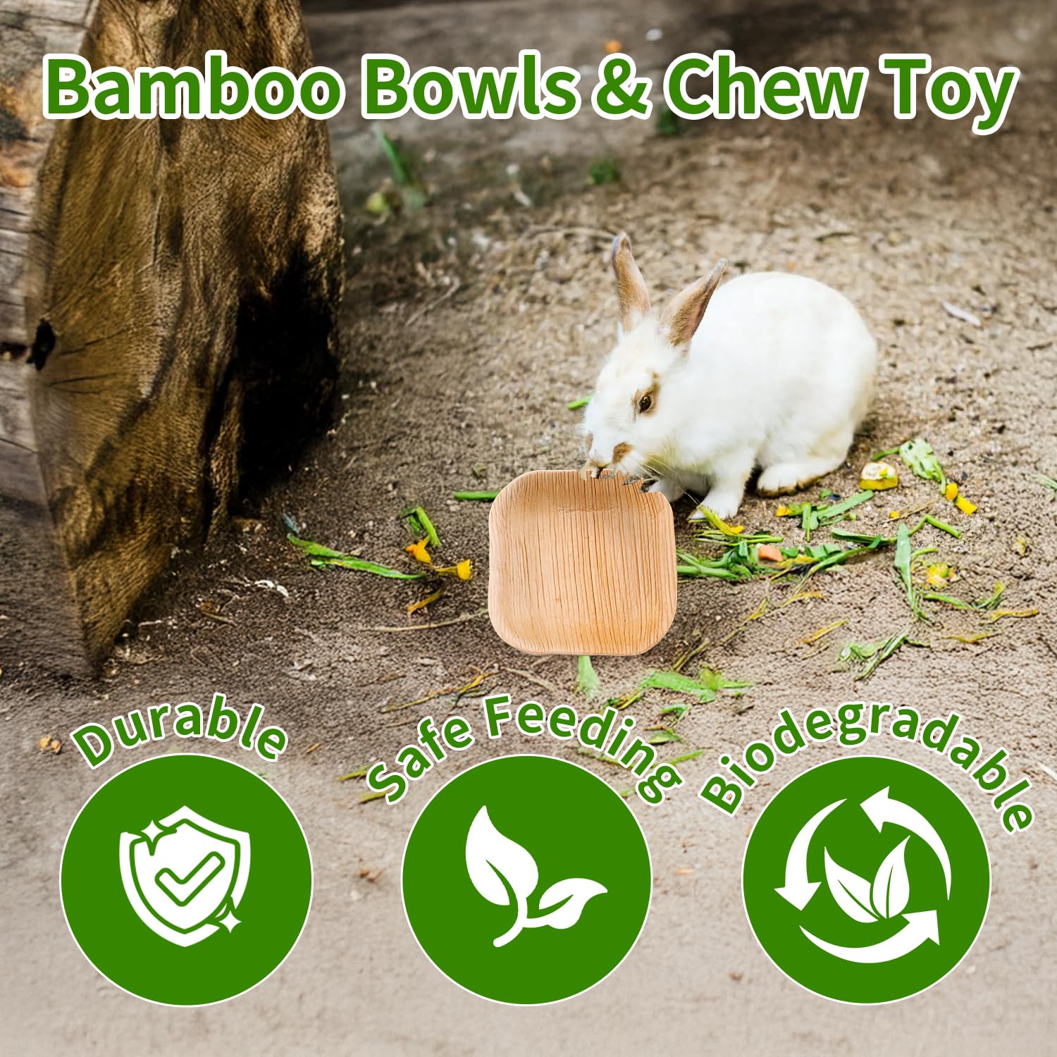 Jiaxix easy-clean bowls support hygiene in cages and habitats.
