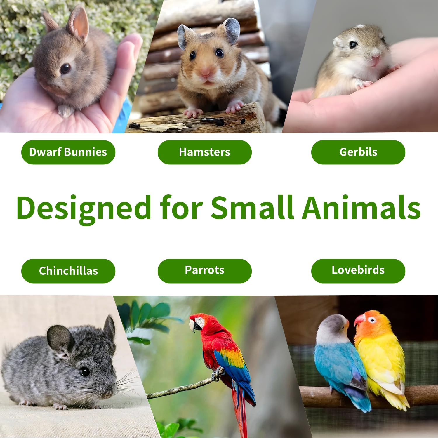 Jiaxix natural appearance bowls blend with pet habitats and decor.
