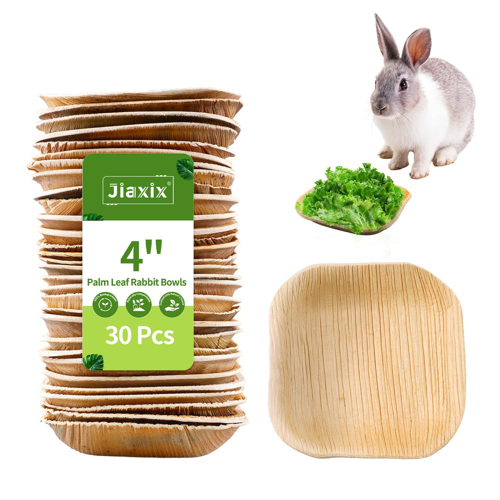 Jiaxix palm leaf bowl 4-inch closeup, natural, safe feeding option for small pets.