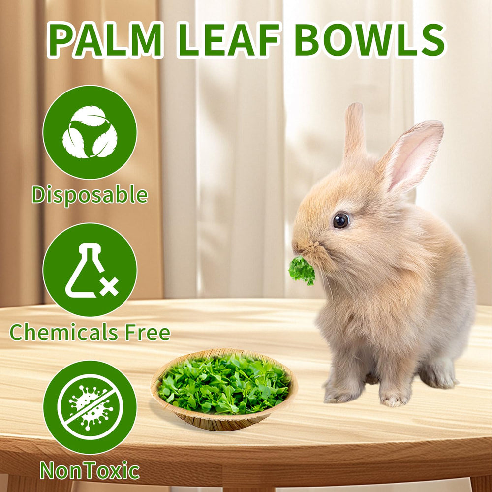Jiaxix rabbit feeding bowls in habitat for tidy meals.