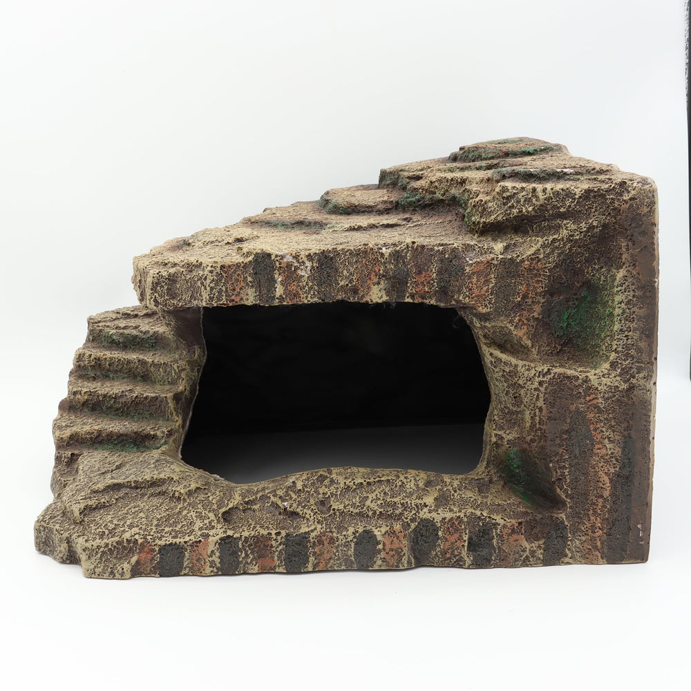 JIHAQUA gecko-use hideout provides privacy during shedding and exploration