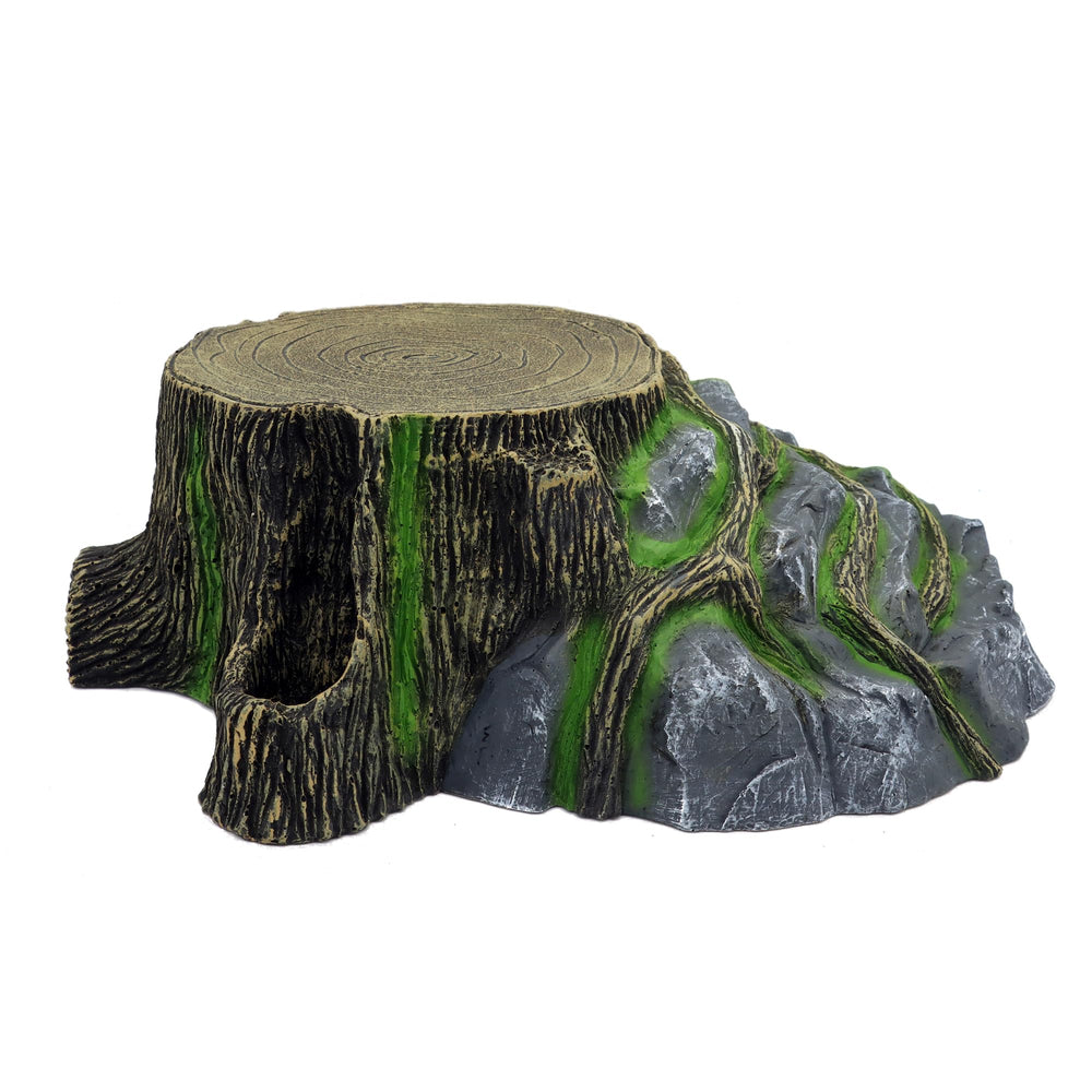 Jihaqua Extra Large Resin Hideout in-tank setup, easy decor for multiple terrarium species.