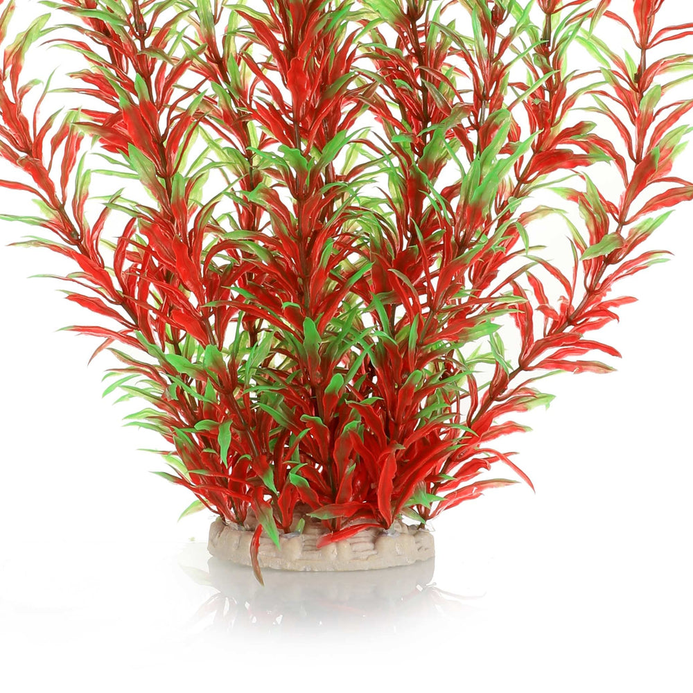 JIHAQUA heavy-base aquarium plant stays upright, reducing drift during water changes.