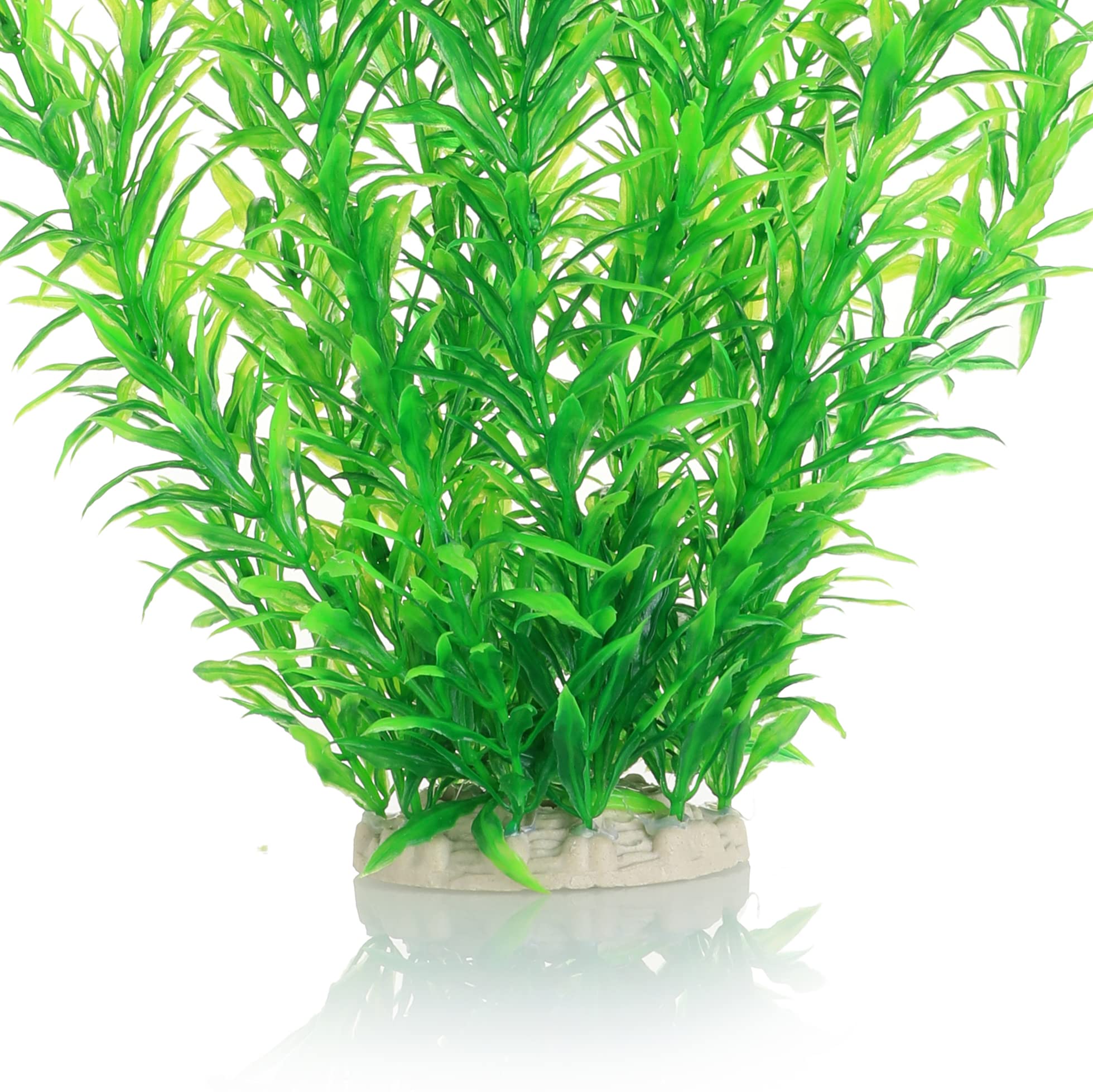 JIHAQUA tall flexible natural plant offers versatile arrangement options in tanks