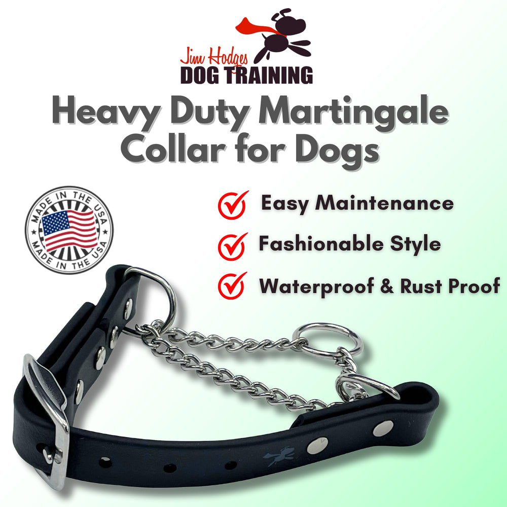 Jim Hodges dog training collar buckle detail showcasing build quality.