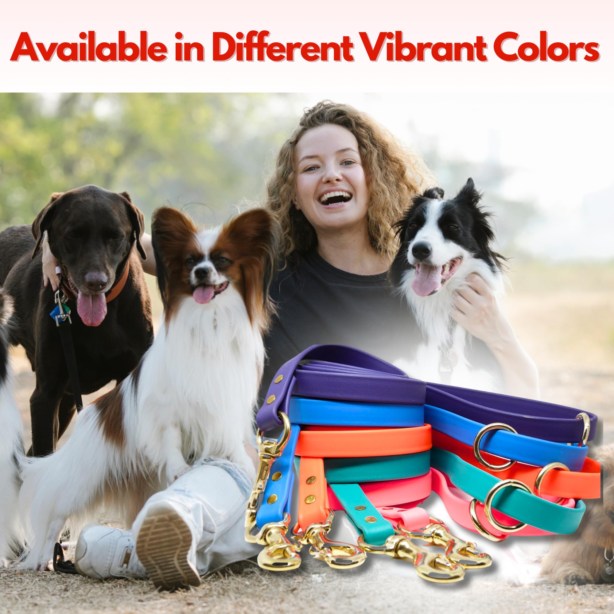Six-foot Gummy K9 leash demonstrates balanced control during walks