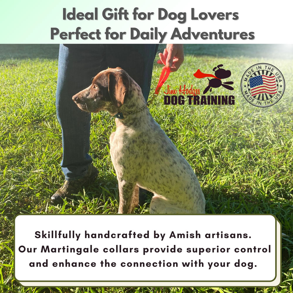 Jim Hodges training-ready collar with size options for dogs.