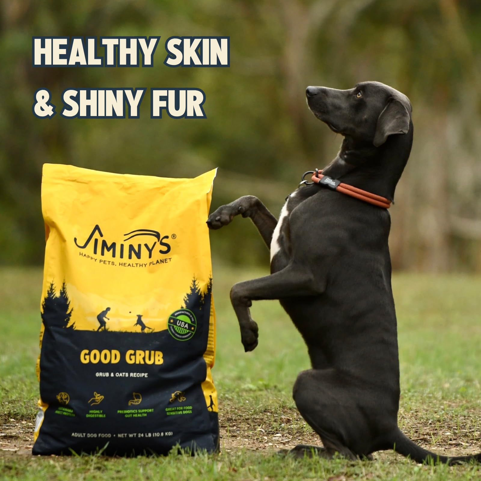 Close-up showing shiny coat with potential skin and coat benefits.