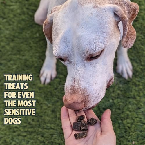 Jiminy's breakable training bites shown as quick reward morsels.