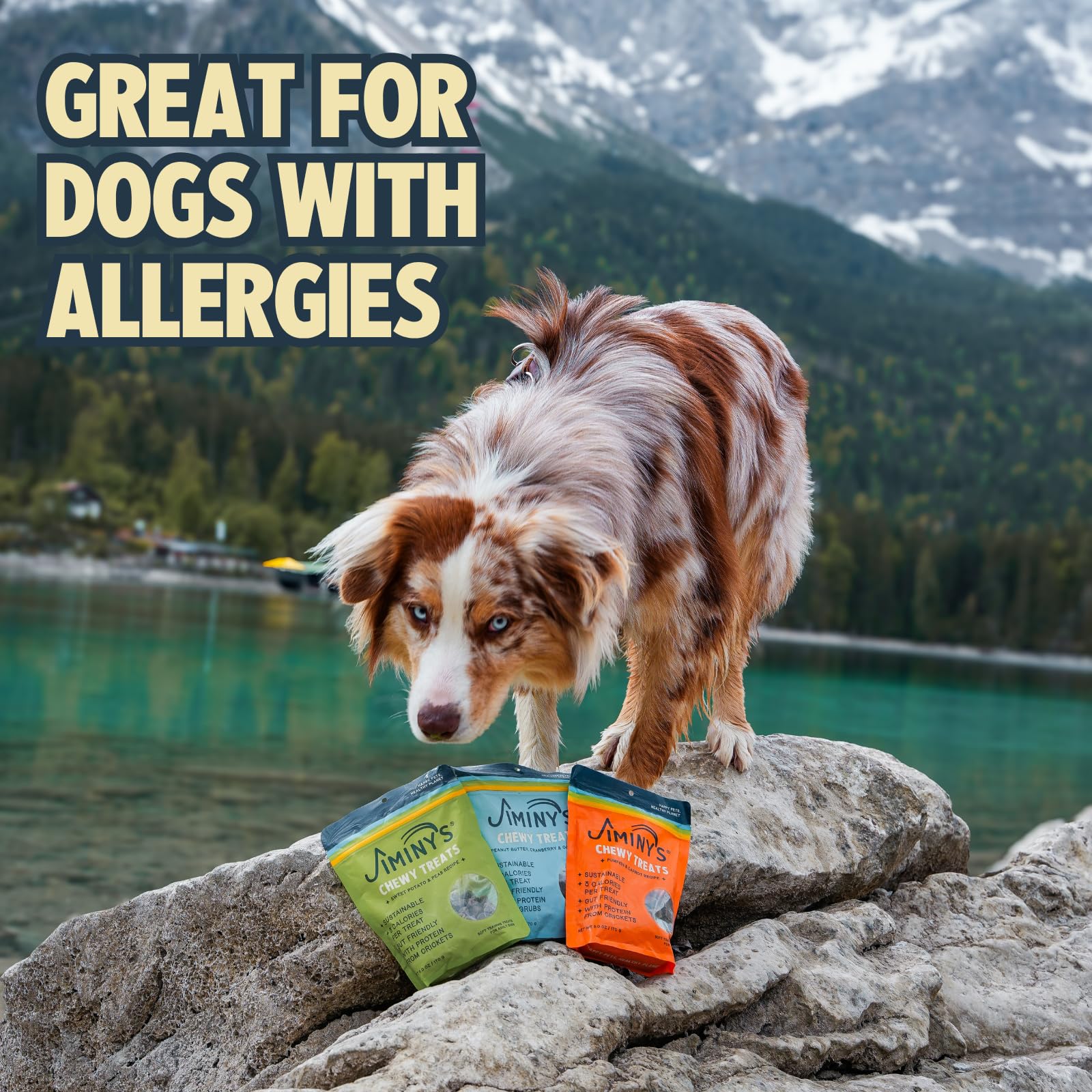 Jiminy's Cricket Dog Treats small bites demonstrate bite-sized rewards for training