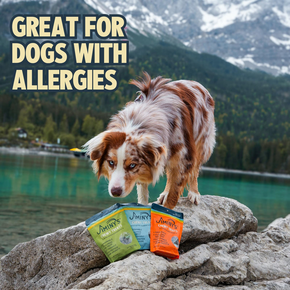 Jiminy's Cricket Dog Treats small bites demonstrate bite-sized rewards for training