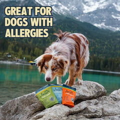 Jiminy's Cricket Dog Treats small bites demonstrate bite-sized rewards for training
