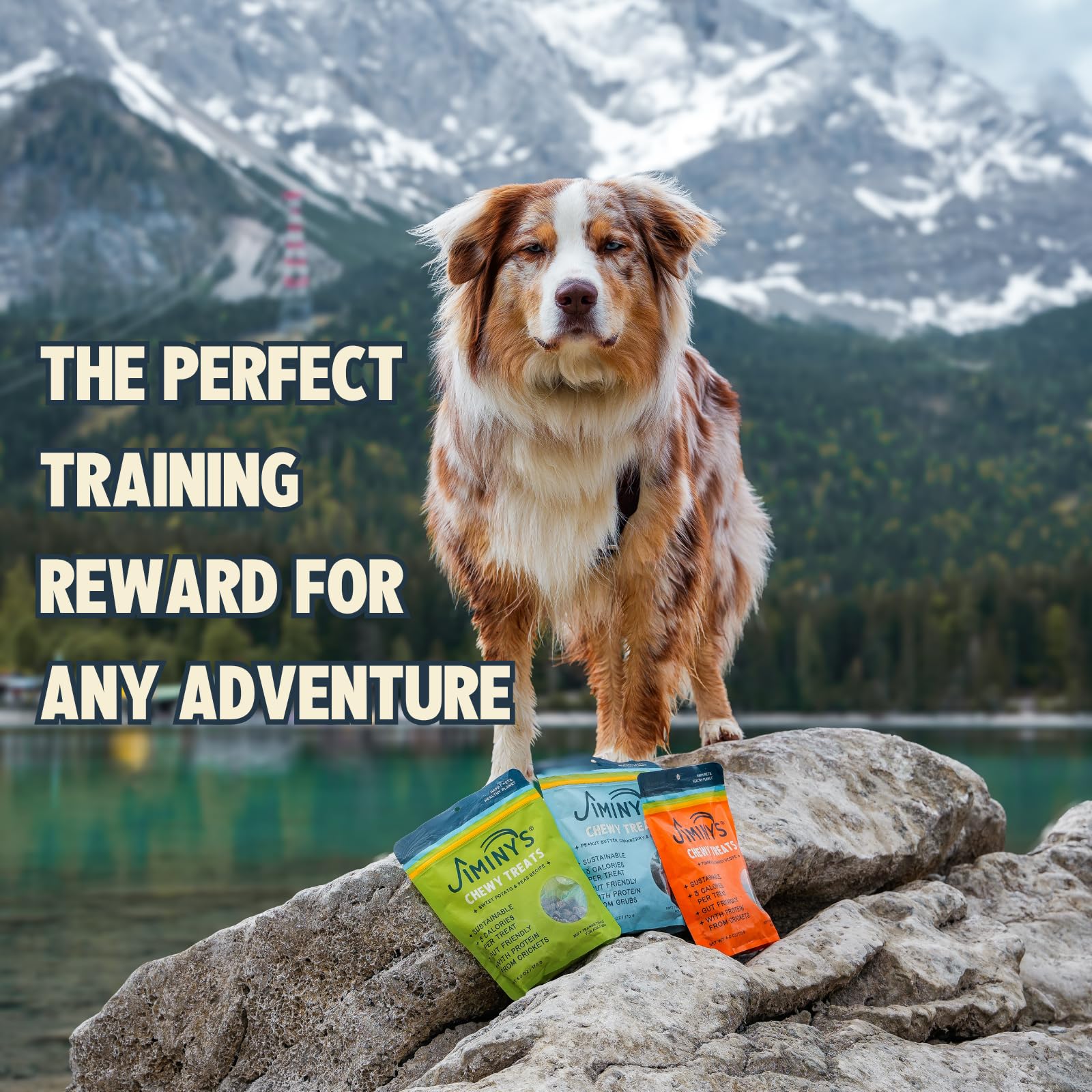 Jiminy's Cricket Treats close-up texture highlights soft chews ideal for quick breaks