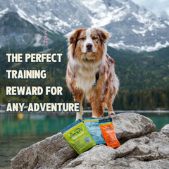 Jiminy's Cricket Treats close-up texture highlights soft chews ideal for quick breaks