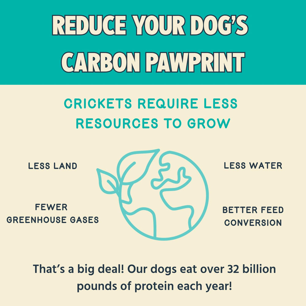 A serving of Jiminy's Cravin' Cricket Dry Dog Food in a bowl for daily feeding.