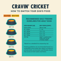 Illustration showing Jiminy's cricket protein as a complete protein with omega benefits.