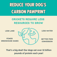 Jiminy's Cravin' Cricket dry dog food serving bowl showing convenient feeding that may aid portion control.