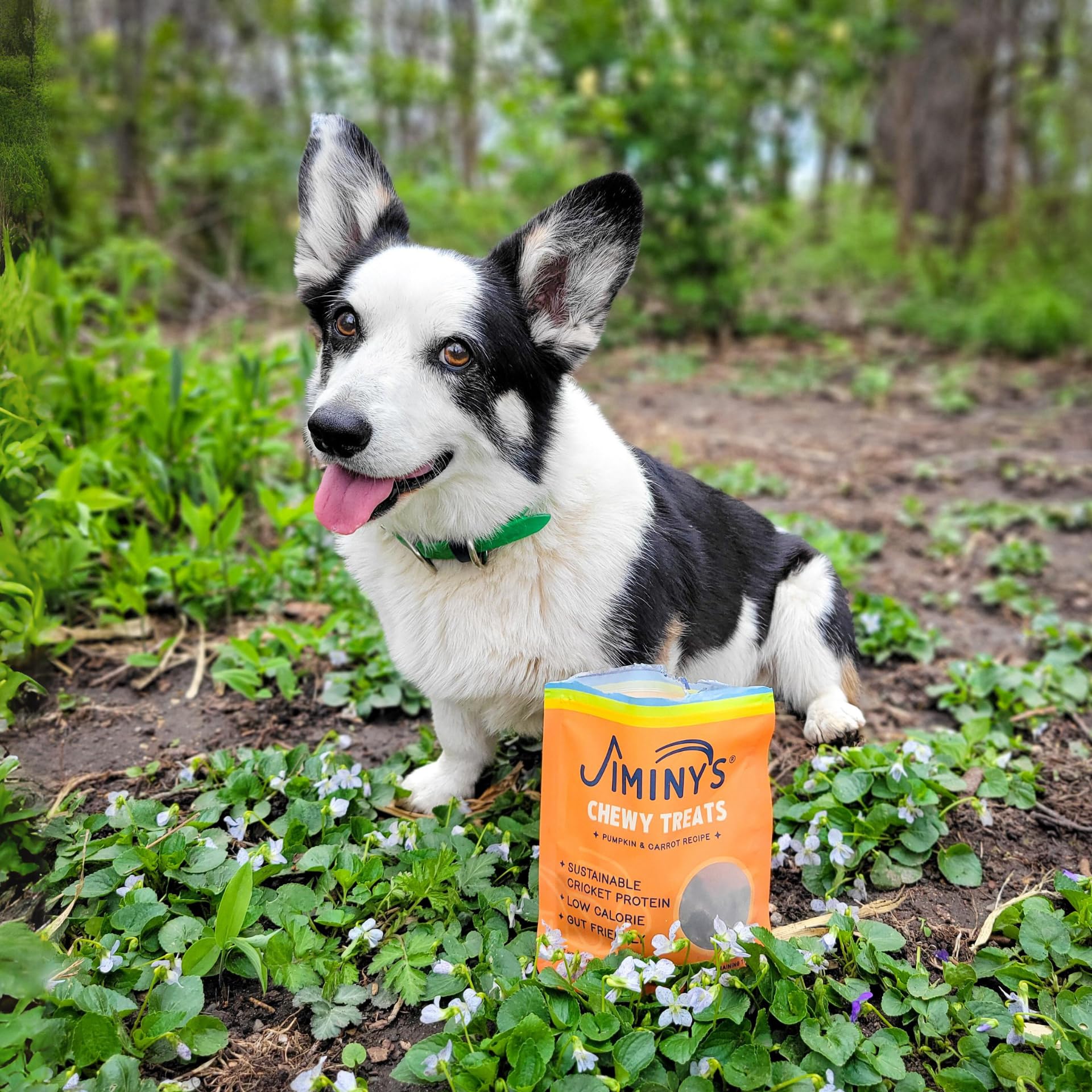 Jiminy's cricket-protein treats with bite-sized morsels for quick training moments.