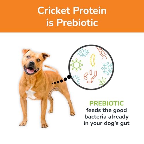 Jiminy's low-calorie cricket treats pictured as small reward bites.