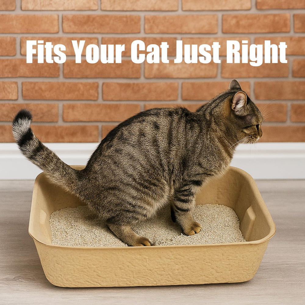 JINVOGREEN easy-clean disposable tray requires no scrubbing after use.