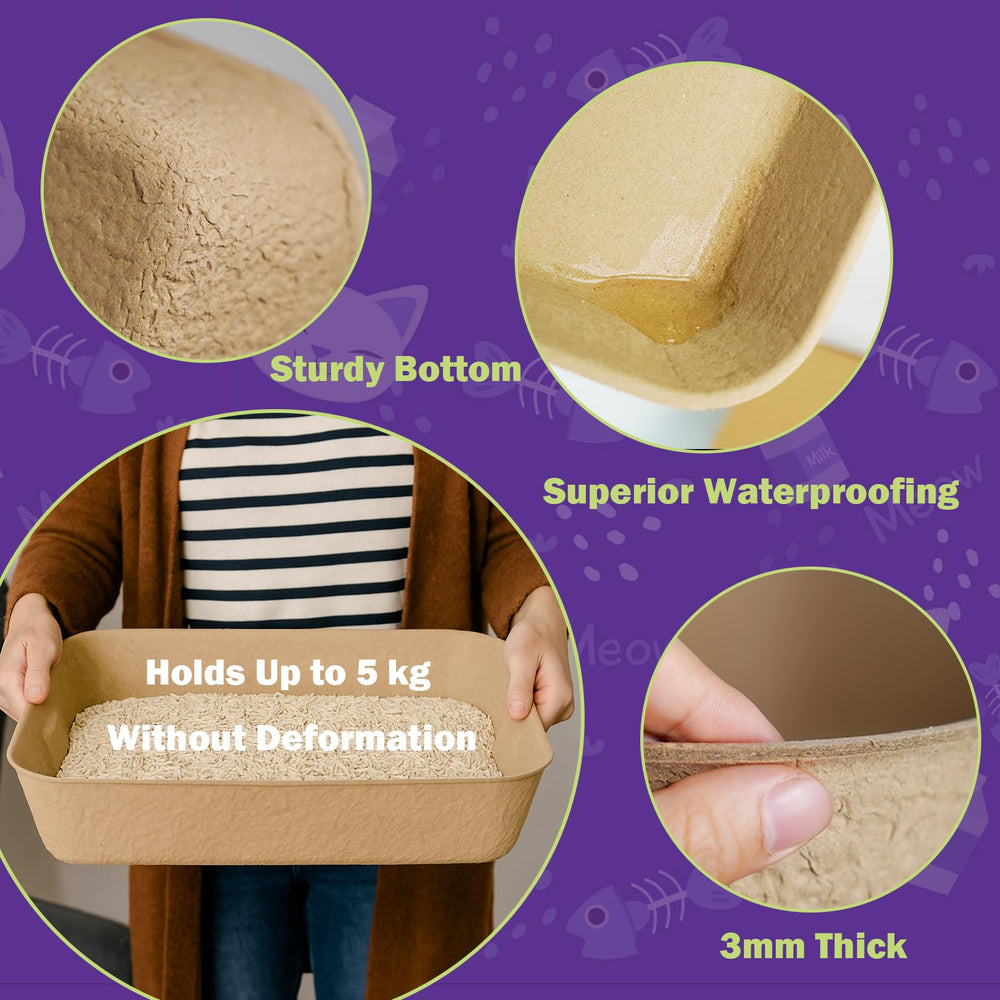 JINVOGREEN paperboard litter box slows moisture for longer-lasting use.