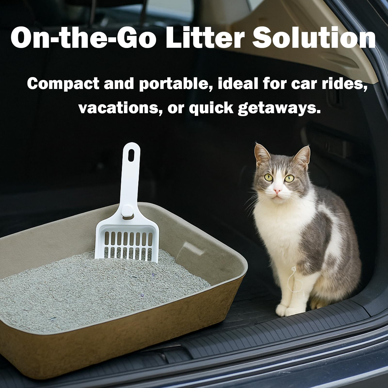 JINVOGREEN recyclable materials support eco-friendly cat care