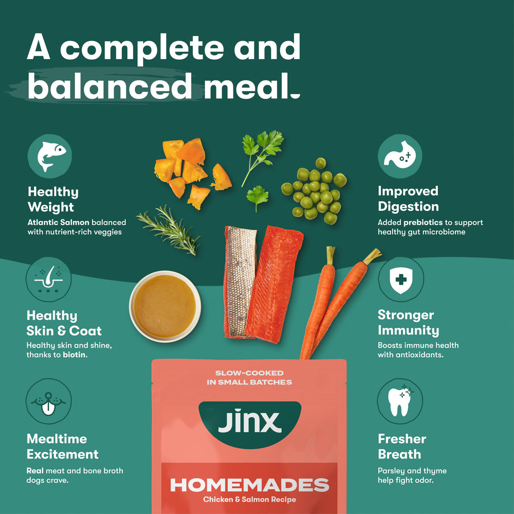 Jinx bone broth base in a serving bowl for a comforting aroma.