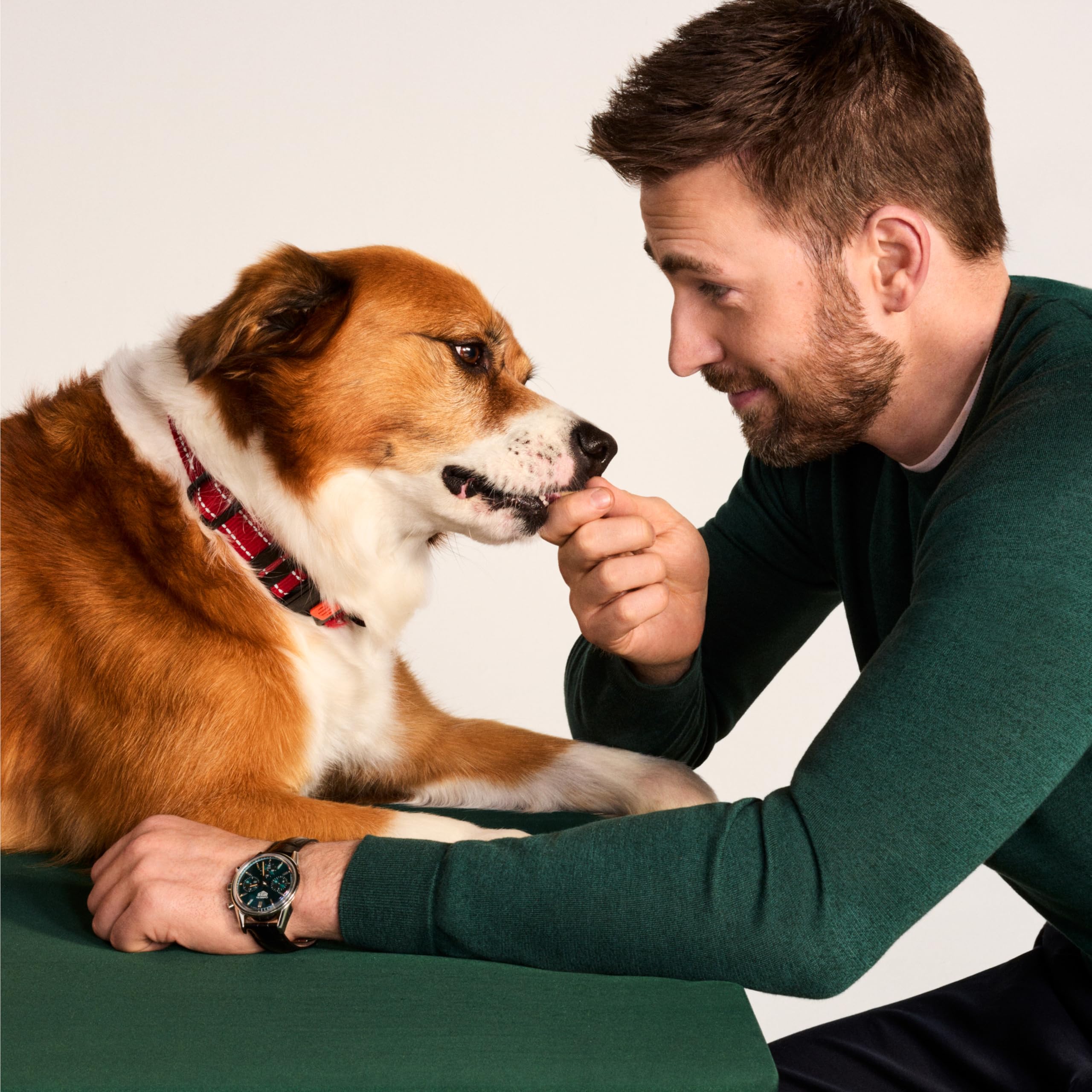 Jinx treats suitable for puppies to seniors across breeds
