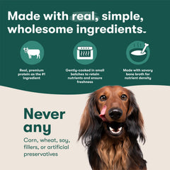 Jinx prebiotics fiber close-up indicating digestive-friendly support.