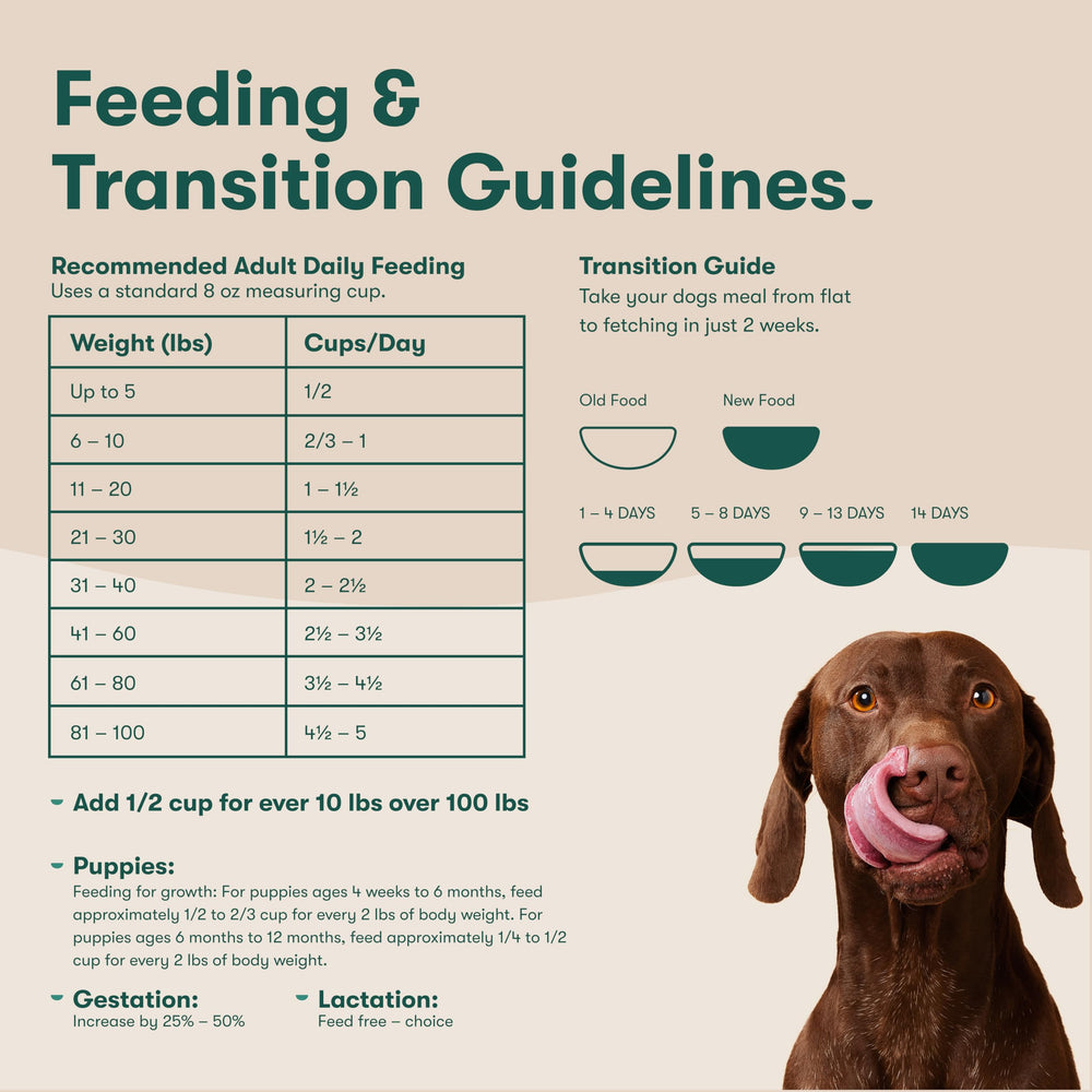 Jinx Premium no-fillers packaging communicates absence of corn, wheat, soy.