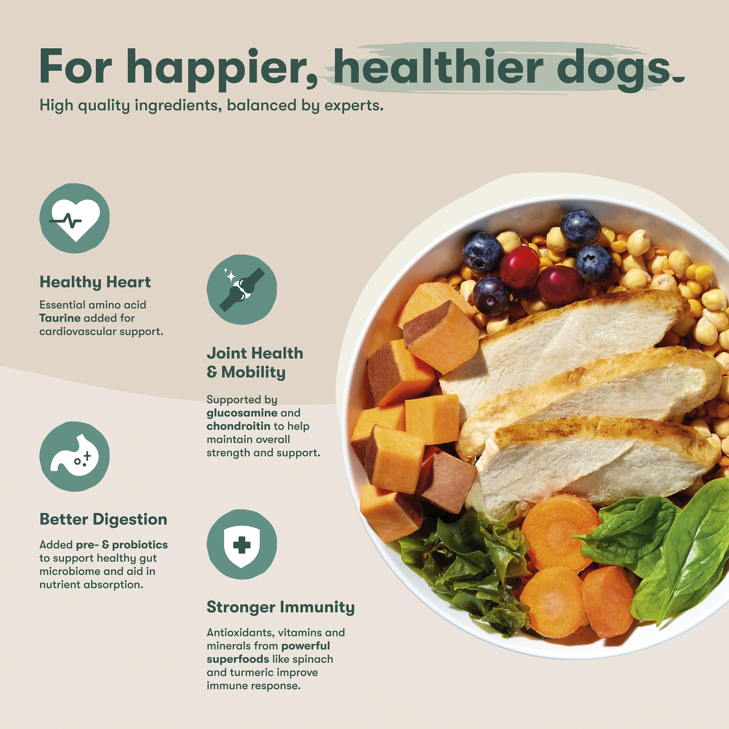 Front label of Jinx senior dry dog food emphasizing USA chicken origin.